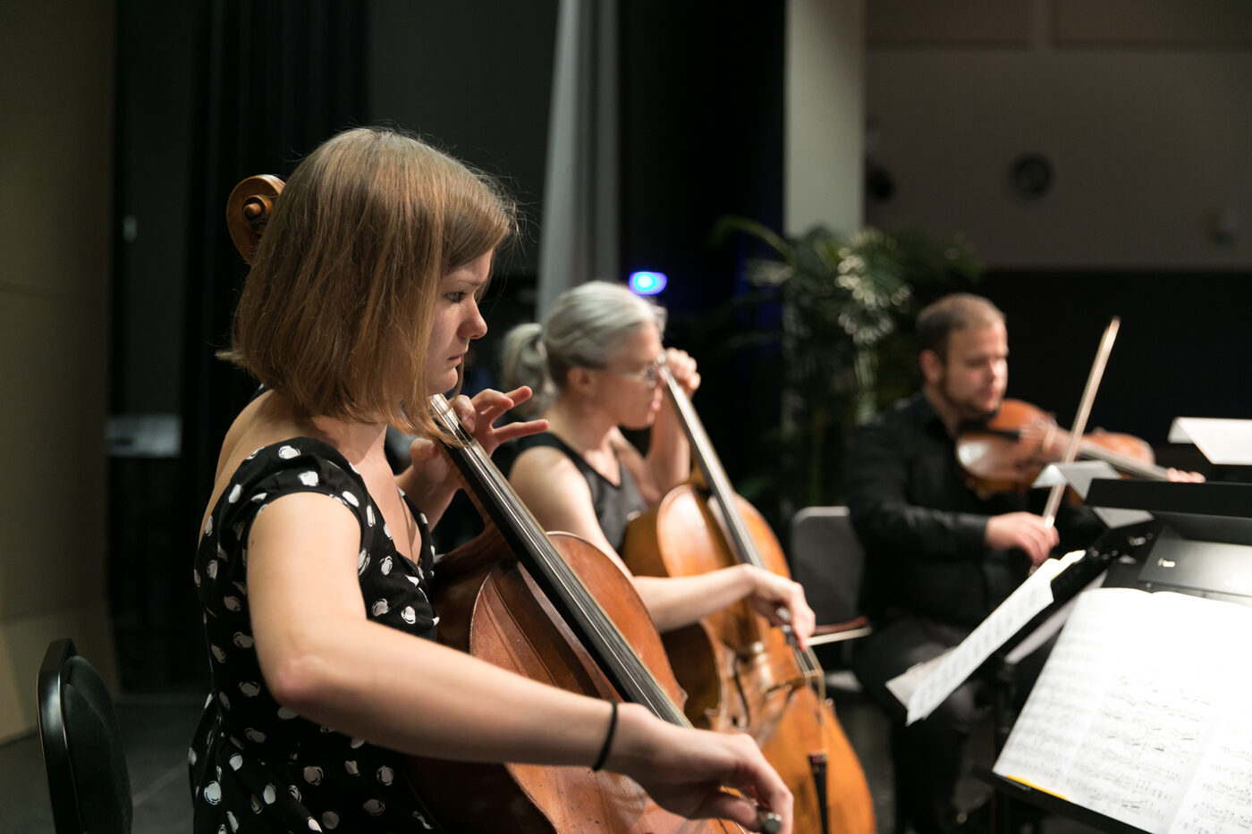 Hannah Boys Center, Sonoma, CA — Schoenberg 